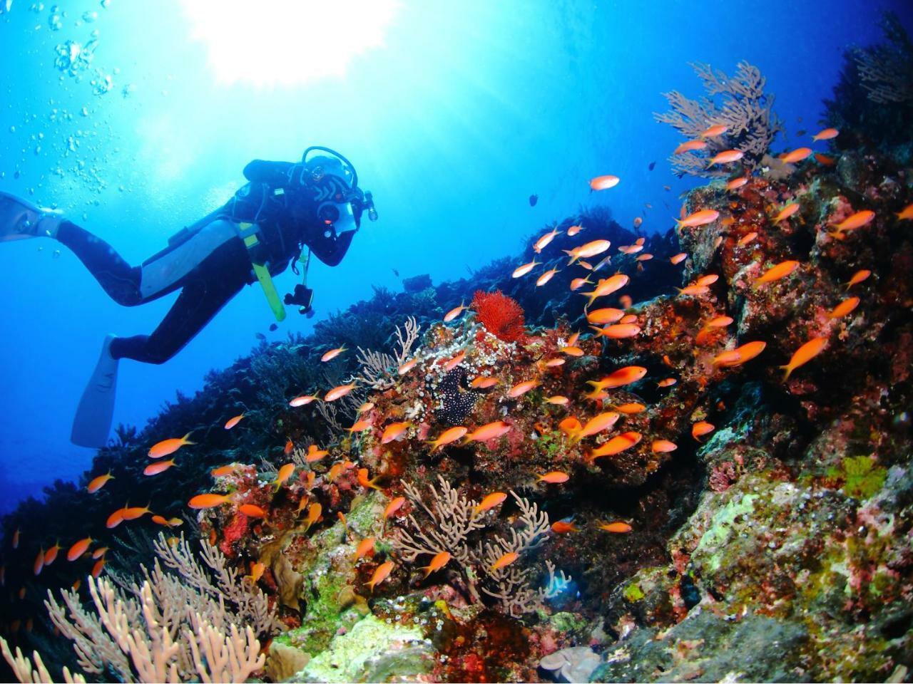 Апарт отель Ecot Arles Boulogne Miyakojima  Экстерьер фото