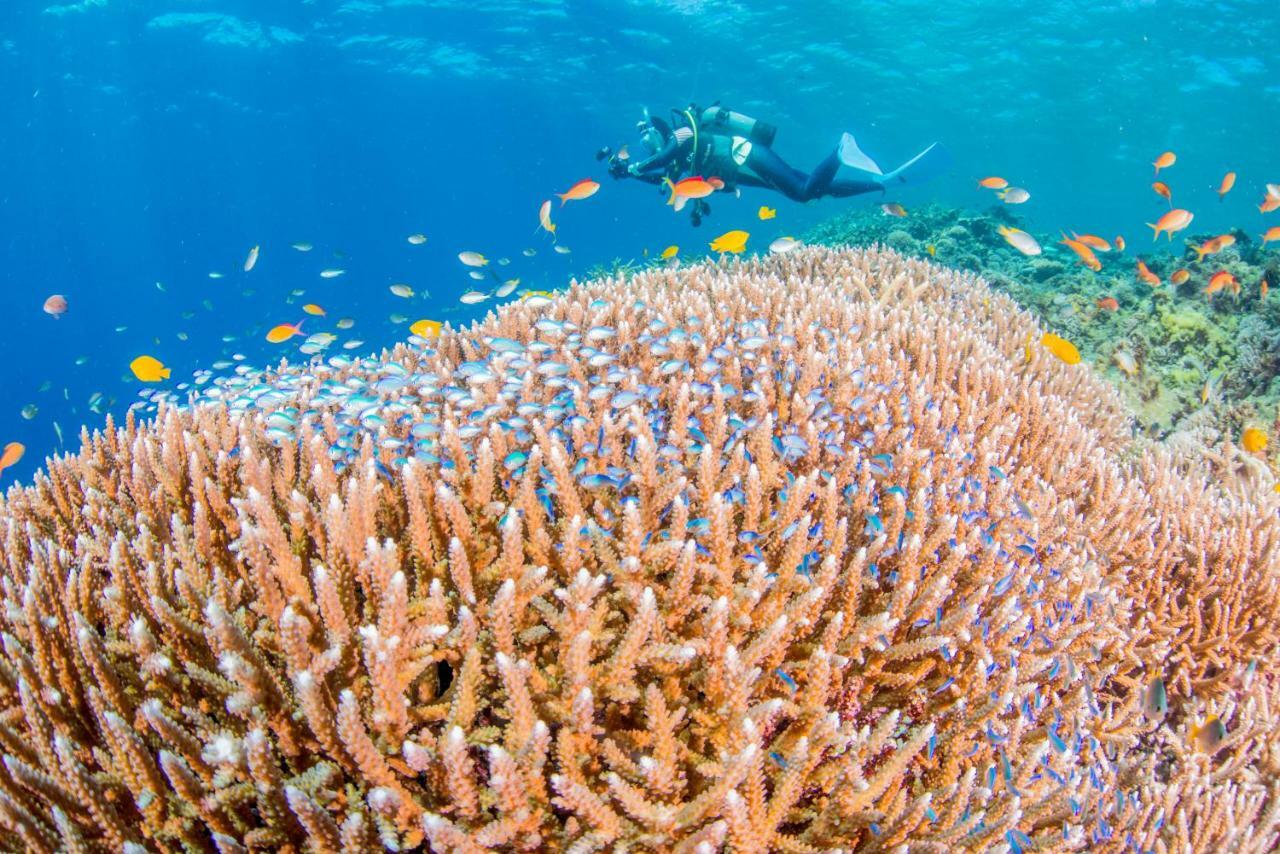 Апарт отель Ecot Arles Boulogne Miyakojima  Экстерьер фото